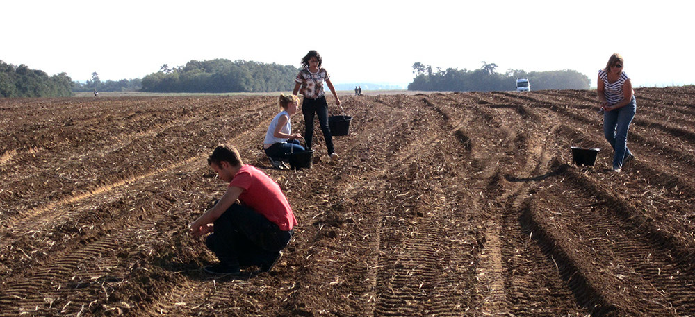 glanage-45-pdt-09-14