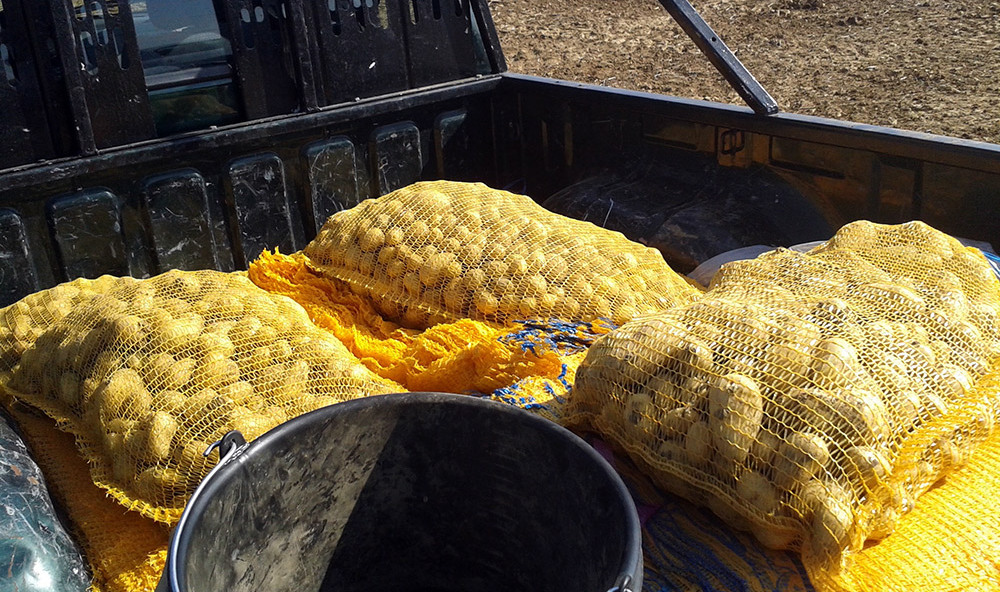 solaal-don-pommedeterre