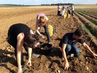 glanage en champ 10 2014