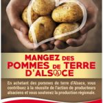 pommes de terre d'Alsace 18 11 2014